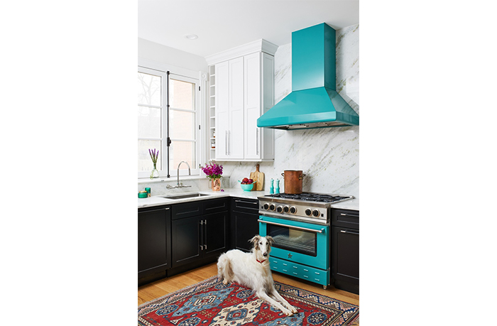 BlueStar Ventilation Line