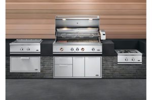 Fisher & Paykel Power Burner & Griddle