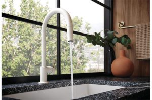 Jason Wu for Brizo Kitchen Collection