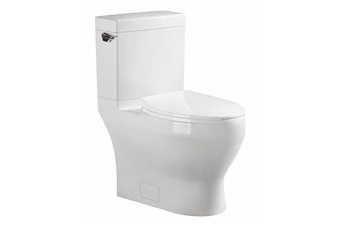 PlumbMaster Finale Ultimate Toilet