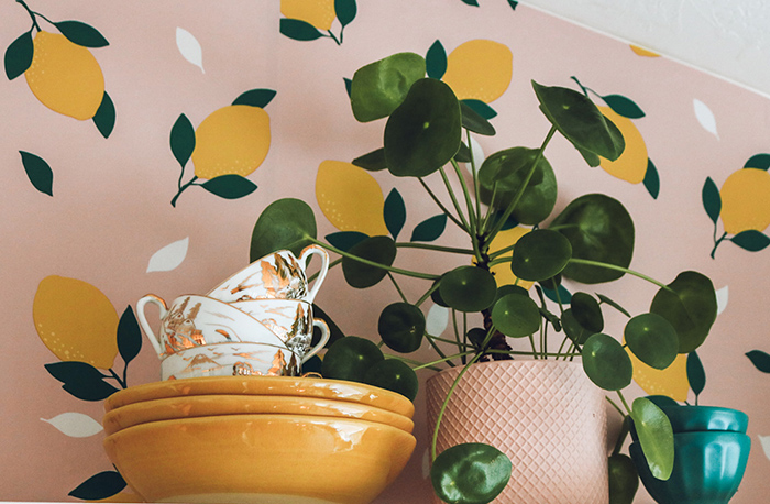 Tempaper Nesting with Grace Collection