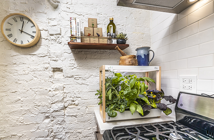 Rise Gardens Personal Garden