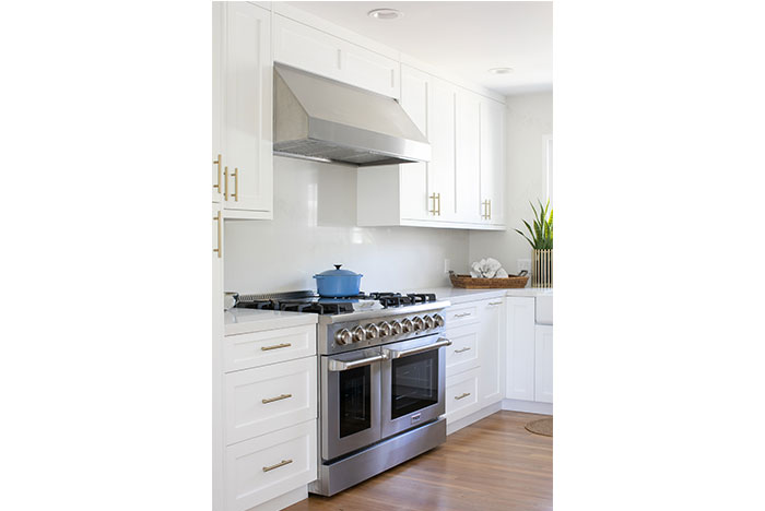 Thor Professional Range Hoods