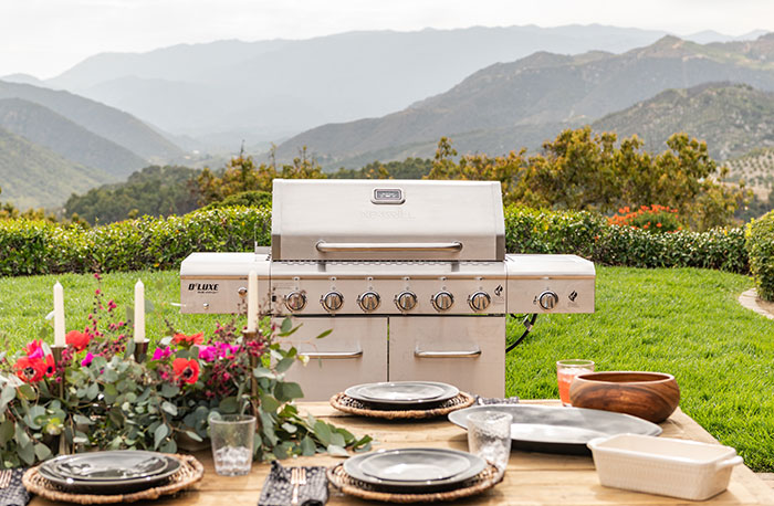 Nexgrill + Megamaster