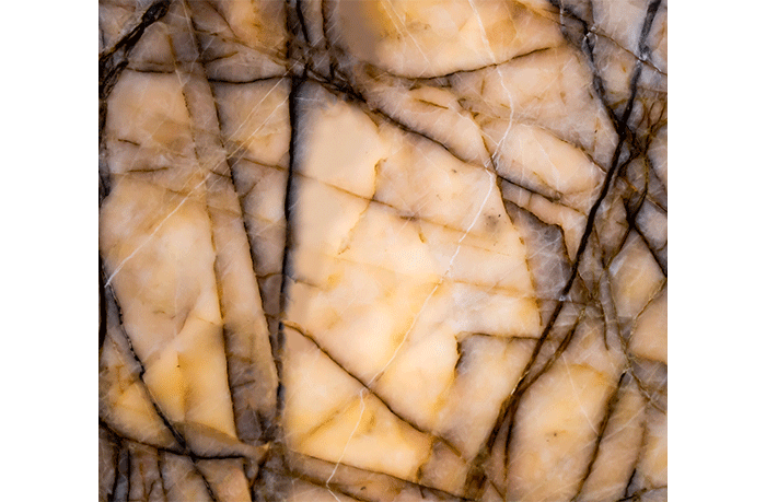 Antolini Cristallo Roots