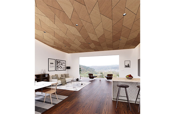 DMF Lighting DRD Modular Downlighting