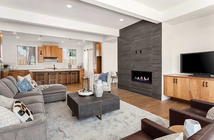 Nora Lighting Opal 6-in. Luminaire