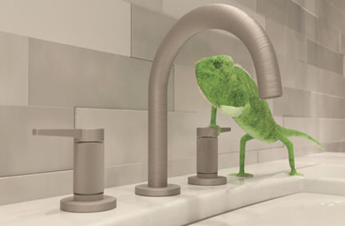 california chameleon video