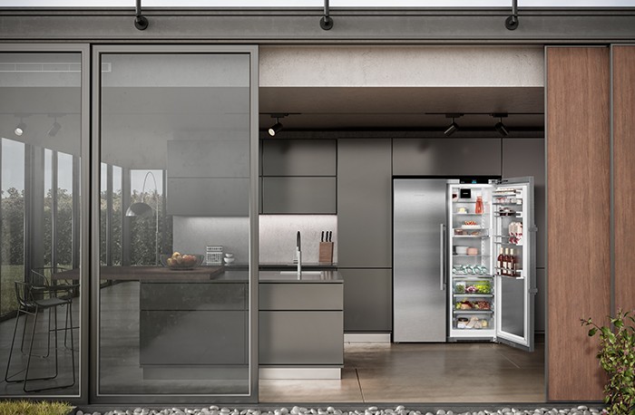 Liebherr Freestanding Appliances