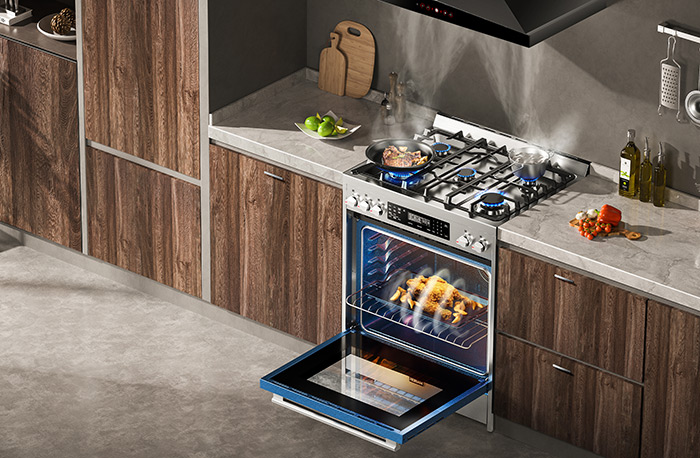 Robam 30-in. Dual Fuel Range