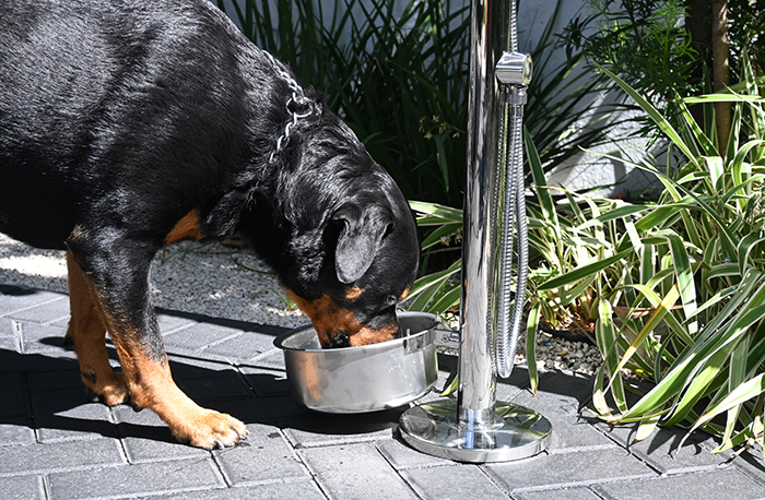 Watrline Marte 7200 Outdoor Dog Station