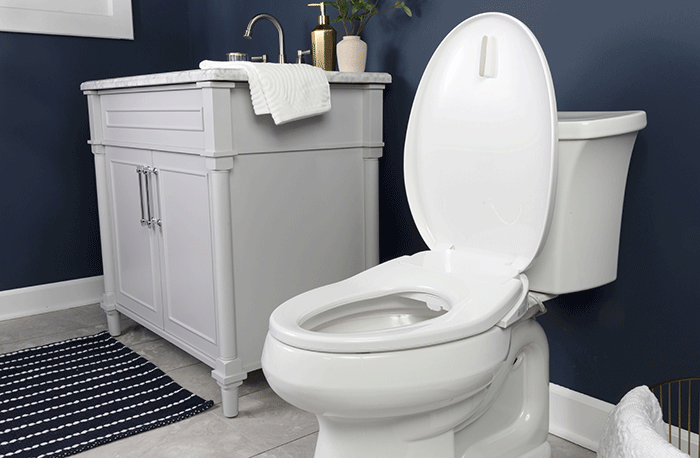 Bio Bidet by Bemis BB-550 Seat