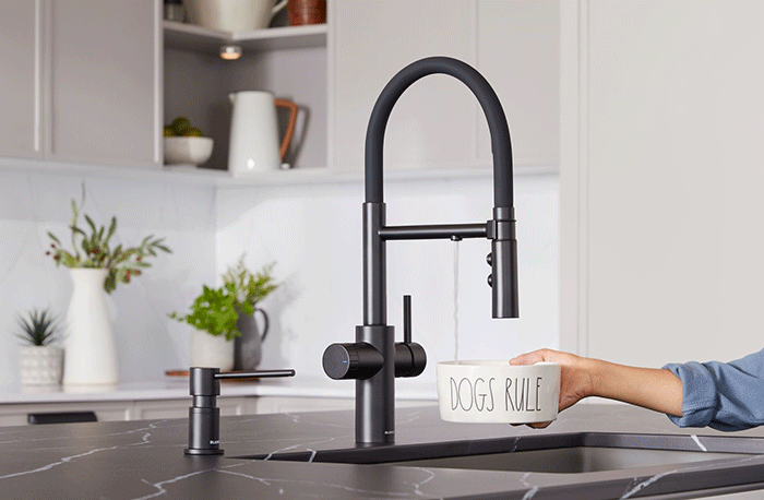 Blanco Catris Flexo Filter faucet