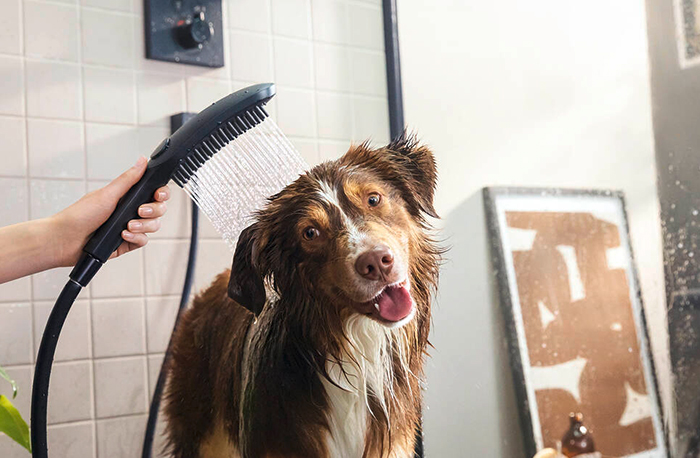 Ferguson Trends Hansgrohe