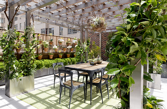 The Year of the Pergola: Rikki Snyder © 2016 Houzz
