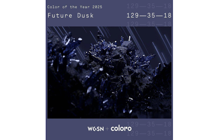 color of the year 2025 future dusk