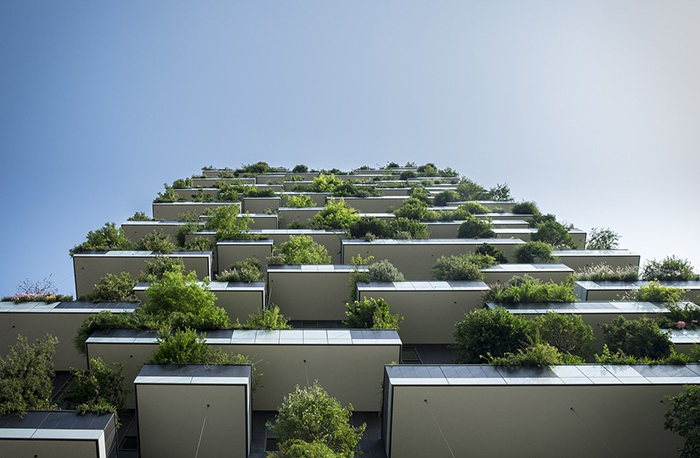 2020 National Green Building Standard