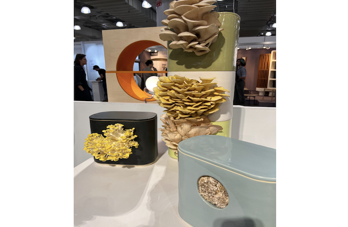 mushroom growing containers