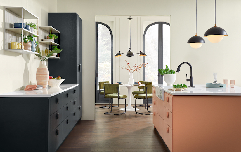 sherwin-williams color of the year in kitchen