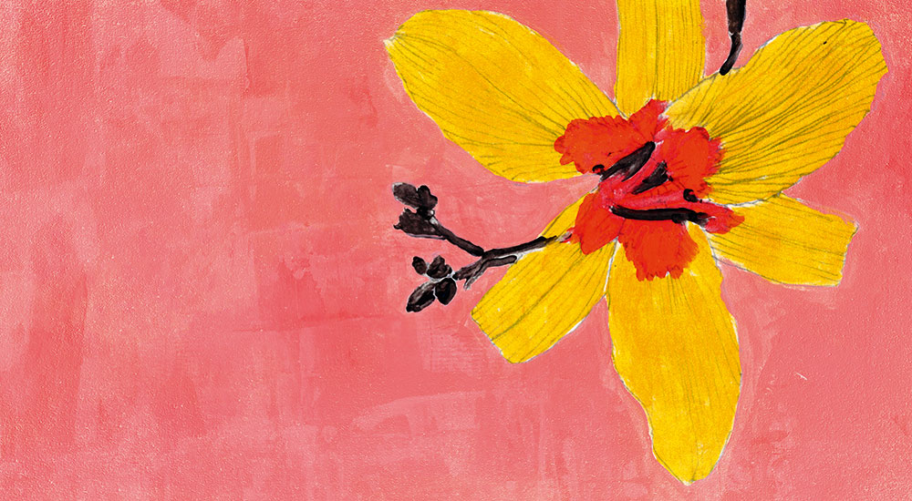 SpaghettiWall nature wallpapers