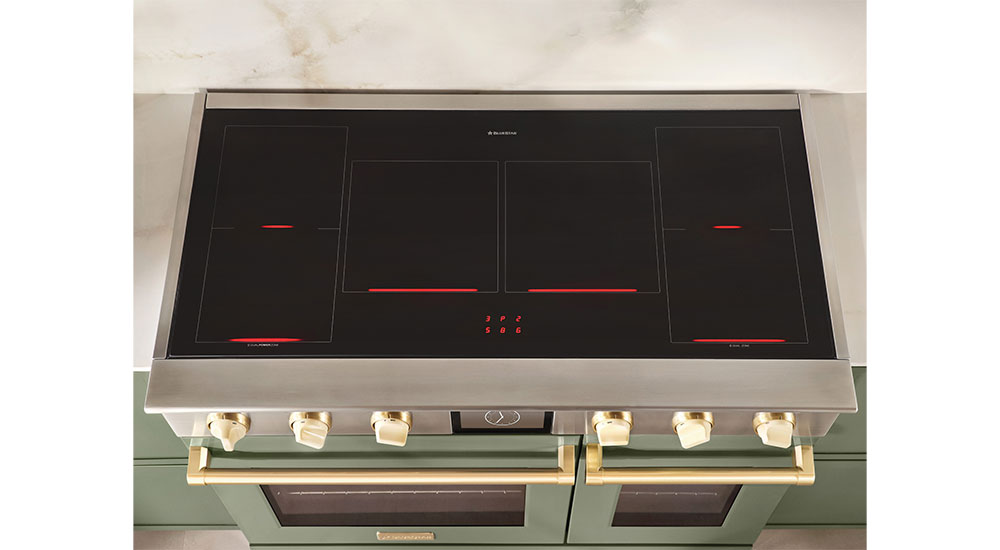 DesignBites BlueStar 48-in. Induction Range