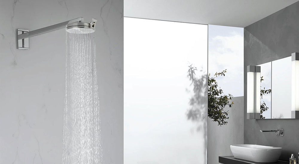 ShowerClear Showerhead