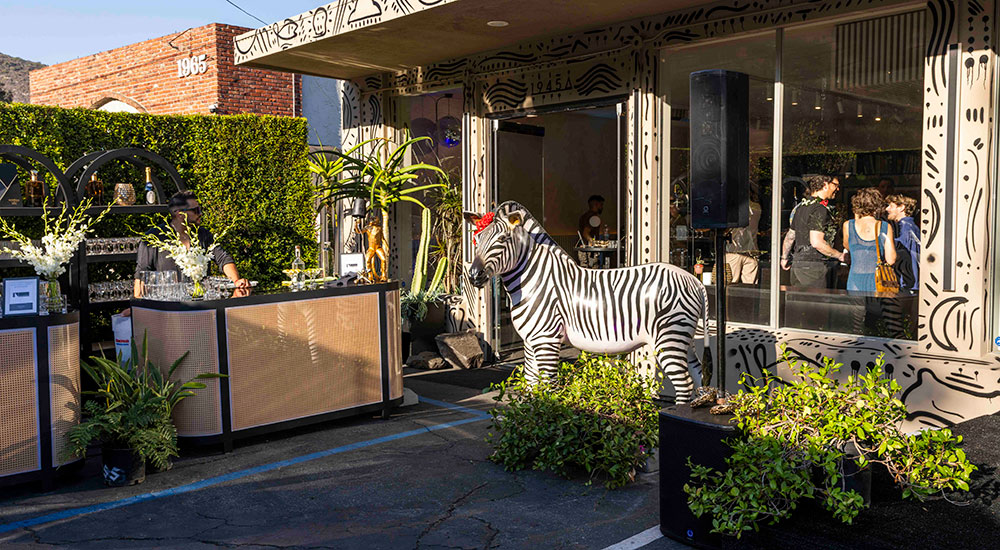 Hawk & Co Headquarters Grand Opening